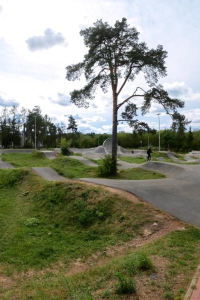Sportowa Jajecznica 16